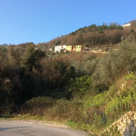 Belvedere Holiday House Vakantiehuis *